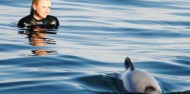 Dolphin Swim - Akaroa Harbour image 6