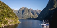 Doubtful Sound 2 Night Cruise image 8