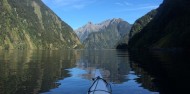 Kayaking - Doubtful Sound Kayak image 6