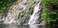 Kayaking - Doubtful Sound Kayak image 2