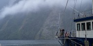 Doubtful Sound Overnight Cruise - Wanderer image 2