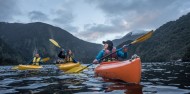 Doubtful Sound Overnight Cruise - Wanderer image 4