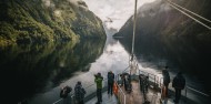 Doubtful Sound Overnight Cruise - Wanderer image 3