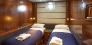Doubtful Sound Overnight Cruise - Wanderer image 7