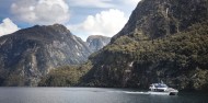 Doubtful Sound Wilderness Day Cruise from Manapouri image 1