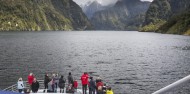 Doubtful Sound Wilderness Day Cruise from Manapouri image 3