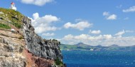 Ultimate Dunedin & Otago Peninsula Day Tour image 2