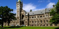Ultimate Dunedin & Otago Peninsula Day Tour image 3