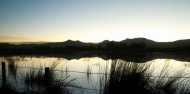 Dunedin Bays & Beaches image 2