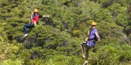 Ecozip Adventures - Waiheke Island image 5