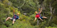 Ecozip Adventures - Waiheke Island image 4