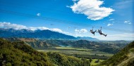 Ziplining & Whale Watching Flight Combo image 2