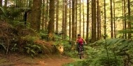Mountain Biking - Electric Bike Rotorua image 1