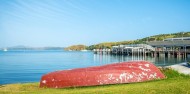 Premium Wine Tour - Waiheke Island - Enjoi Wine Tours image 3