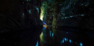 Kayaking - Glow Worm Kayak Tour image 1