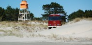Farewell Spit Eco Tours image 7