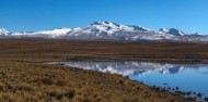 High Country 4WD Farm Tour image 6