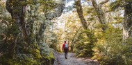 Kepler Track Day Walk - Fiordland Outdoors Co image 5