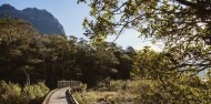 Milford Sound Fly, Explore, Fly image 5