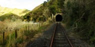 Full Day Rail Cart Tour - Forgotten World Adventures image 7