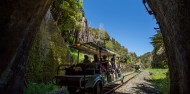 Full Day Rail Cart Tour - Forgotten World Adventures image 2