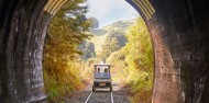 Full Day Rail Cart Tour - Forgotten World Adventures image 1
