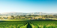 Helicopter Flight & Wine Tour - Between The Vines image 6