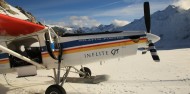 Scenic Flight - Glacier Highlights image 7