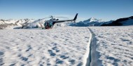 Helicopter Flight - Glacier Landing image 7