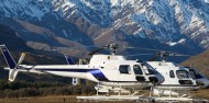 Helicopter Flight - Glacier Landing image 6