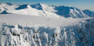 Helicopter Flight - Glacier Landing image 4