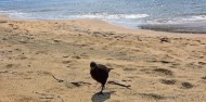 Stewart Island Fly & Explore - Glenorchy Air image 10