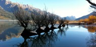 Four Wheel Drive - Glenorchy Lord of the Rings Tour image 4