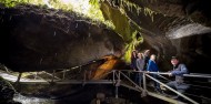 Te Anau Glow Worm Caves image 7