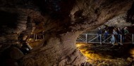 Te Anau Glow Worm Caves image 3