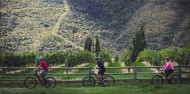 Bike Tours - Half Day Bike the Wineries image 3