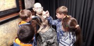 Half Day Lord of the Rings Tour - Xplor Tours image 1