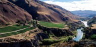 Luxury Wine Tour - Black NZ image 2