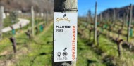 Luxury Wine Tour - Black NZ image 4