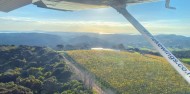 Hauraki Gulf Scenic Flight - Waiheke Island image 4