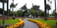 Napier Scenic Tours image 6