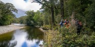 Lake Cruise & Guided Walk - Hidden Hankinson image 5