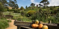 Hobbiton Movie Set Tour image 5