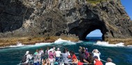 Bay of Islands Day Tour & Hole in the Rock image 5