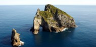 Helicopter Flight - Hole in the Rock image 2