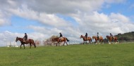 Horse Riding - Cody's Trek image 5