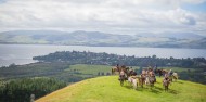 Horse Riding - Adventure Playground image 2