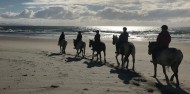 Horse Riding & Wine Tour - Auckland & Beyond Tours image 8