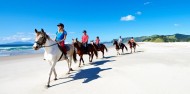 Horse Riding & Wine Tour - Auckland & Beyond Tours image 5