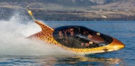 Jet Boat - Hydro Attack image 5